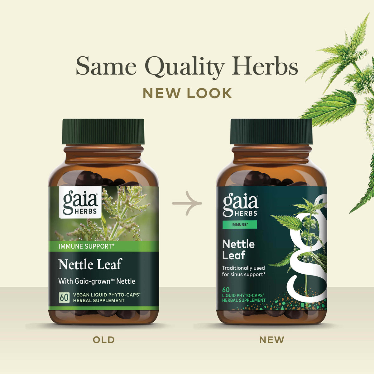 Nettle Leaf Old Label Versus New Label Comparison 