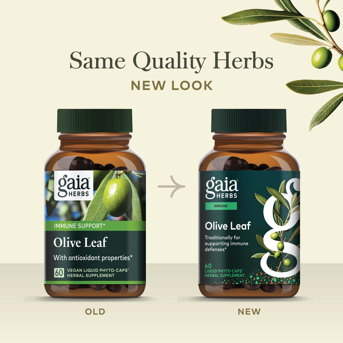 Olive Leaf Old Label Versus New Label Comparison 