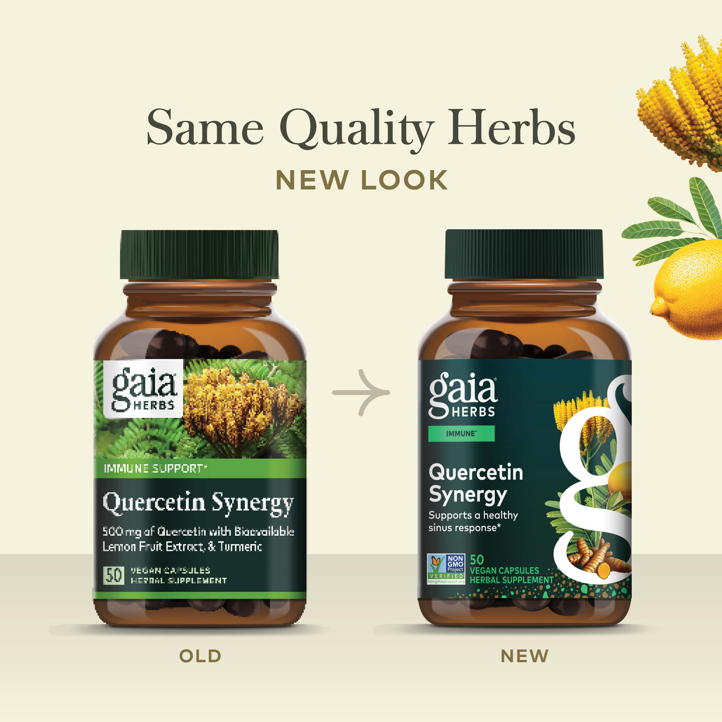 Quercetin Synergy for Immune & Wellness* | Gaia Herbs