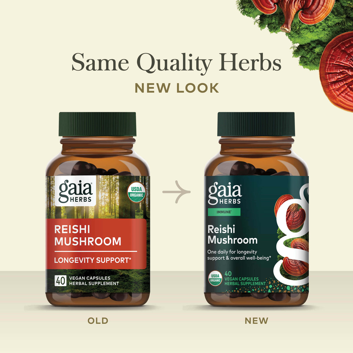 Reishi Mushroom 40 count Old Label Versus New Label Comparison