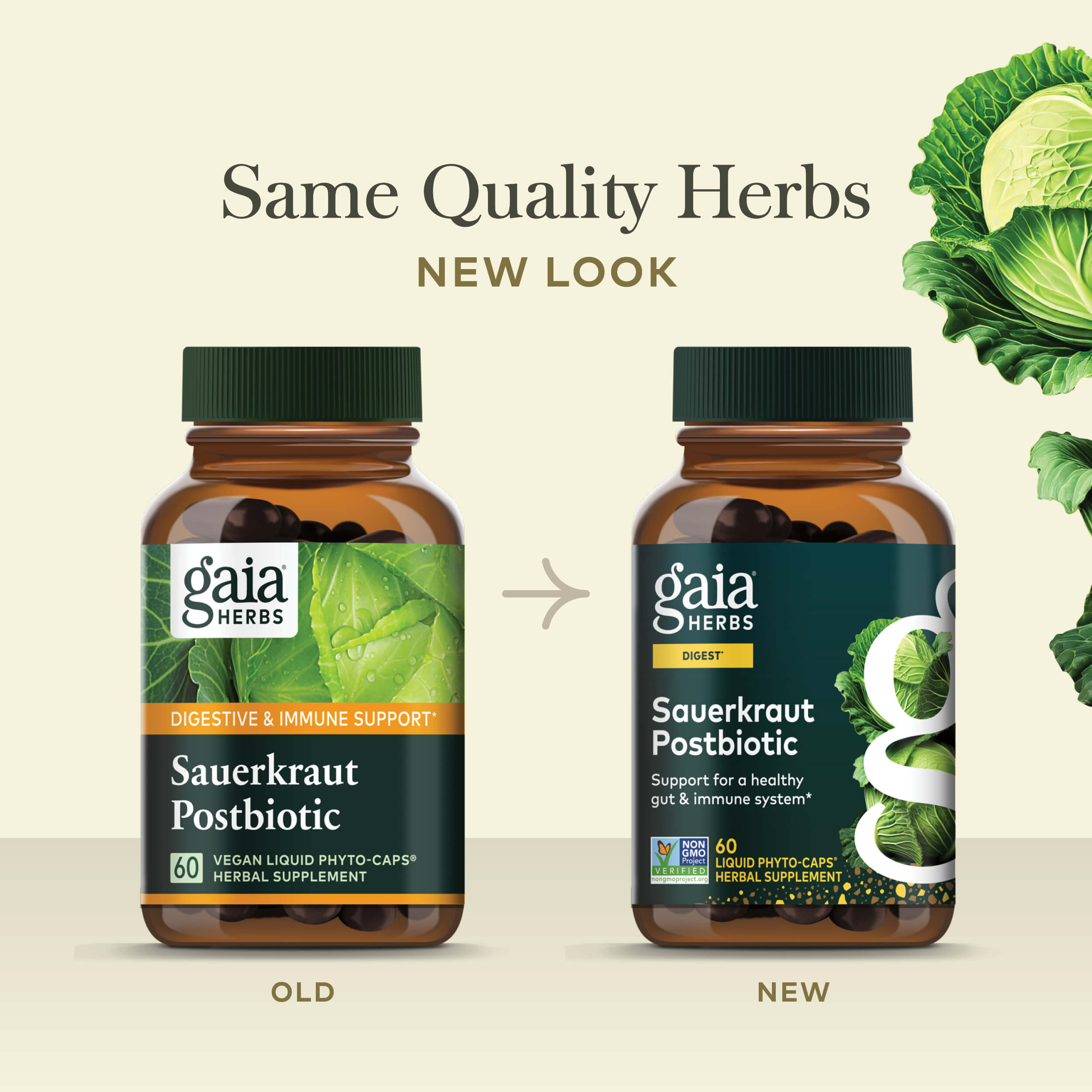 Sauerkraut Postbiotics: Fermented Microbiome Supplement