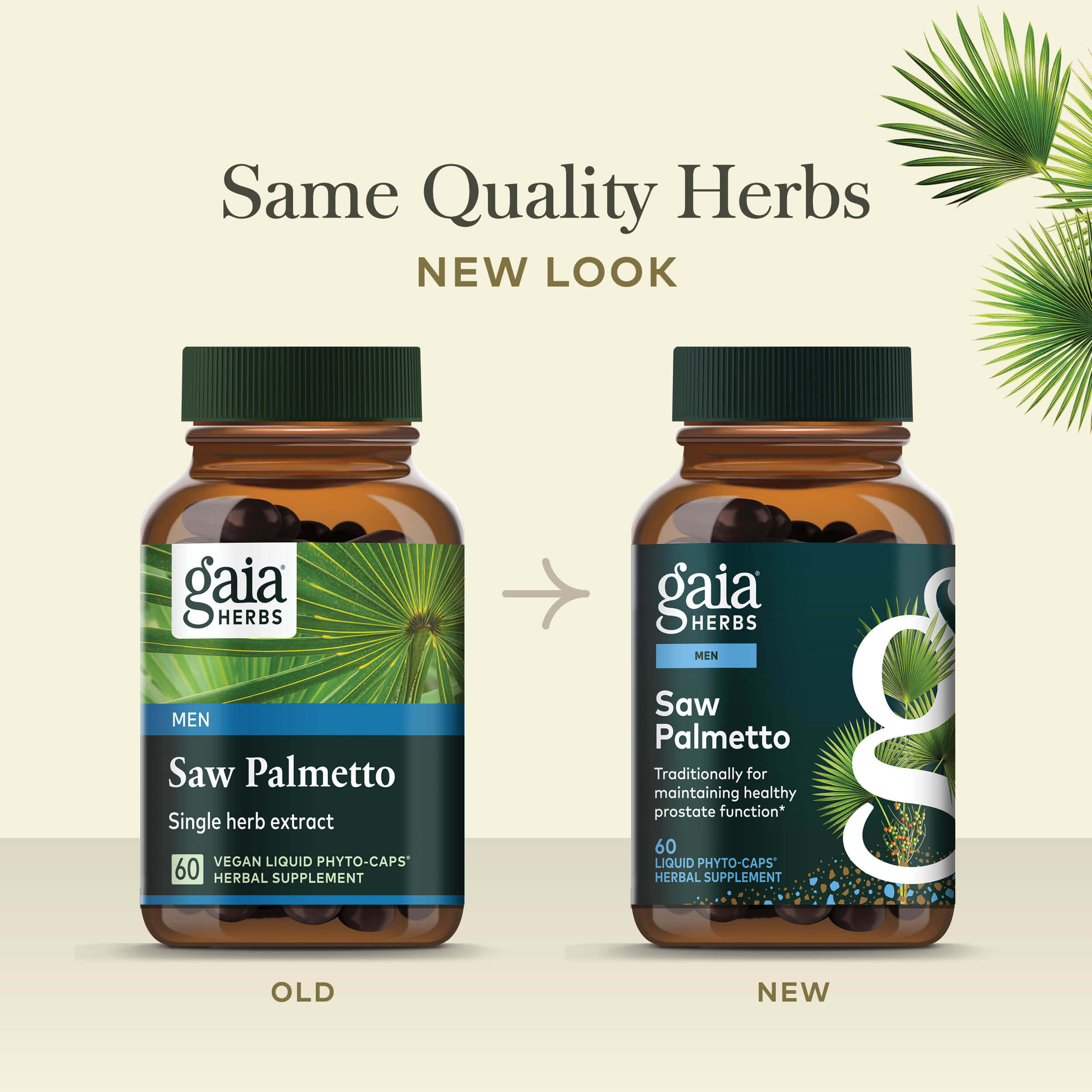 feat. Saw Palmetto 60カプセル✖︎5袋 feat. Saw Palmetto 60カプセル× 3袋 【公式通販】