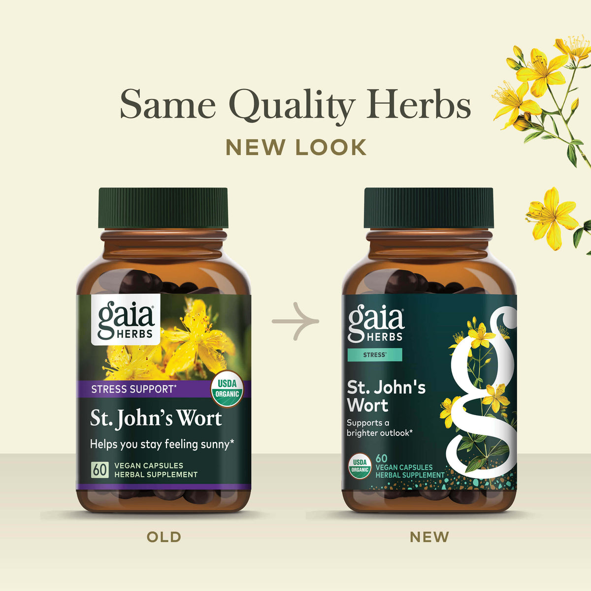 St. John's Wort 60 count Old Label Versus New Label Comparison
