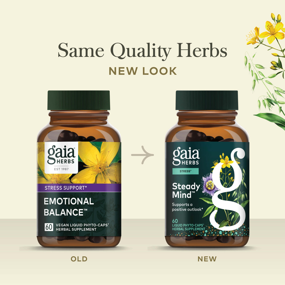 Steady Mind (Formerly Emotional Balance) 60 count Old Label Versus New Label Comparison