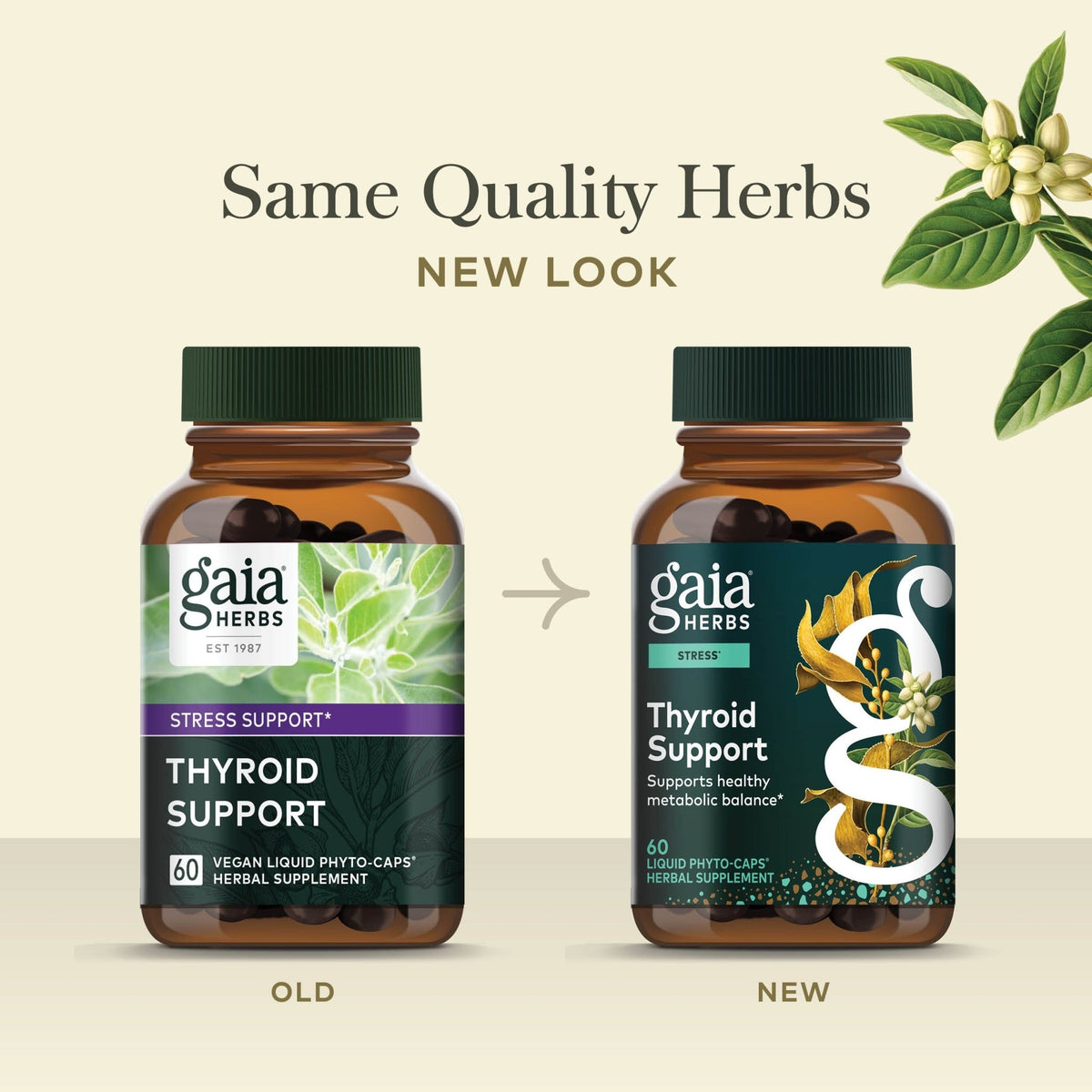 Thyroid Support Old Label Versus New Label Comparison 