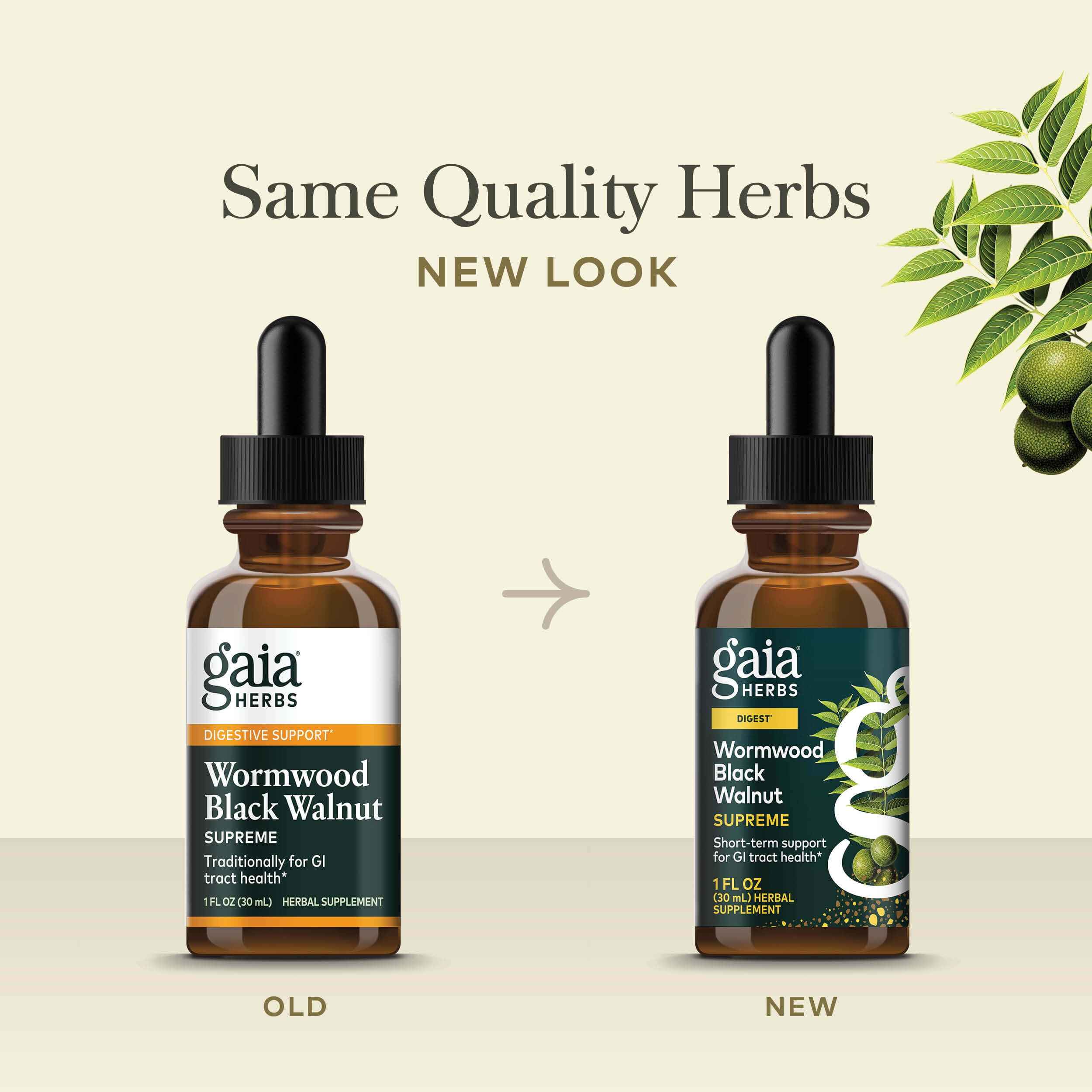 Wormwood and Black Walnut Extract for Digestive Support