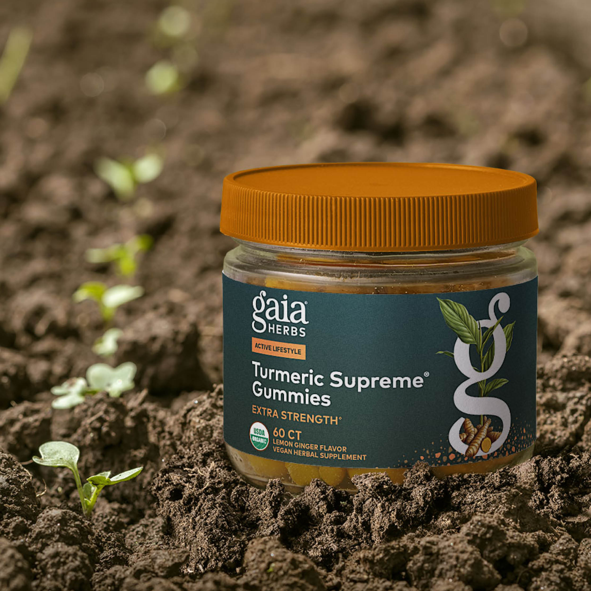 Turmeric Supreme Extra Strength Gummies 60 Count Bottle In Soil