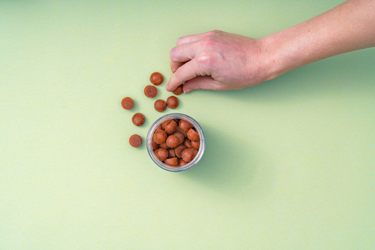Hand placing small brown objects into a container on a green background