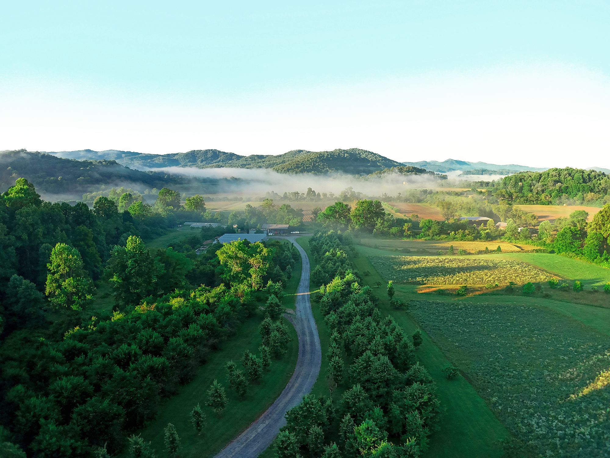 Gaia Herbs Hyperlapse