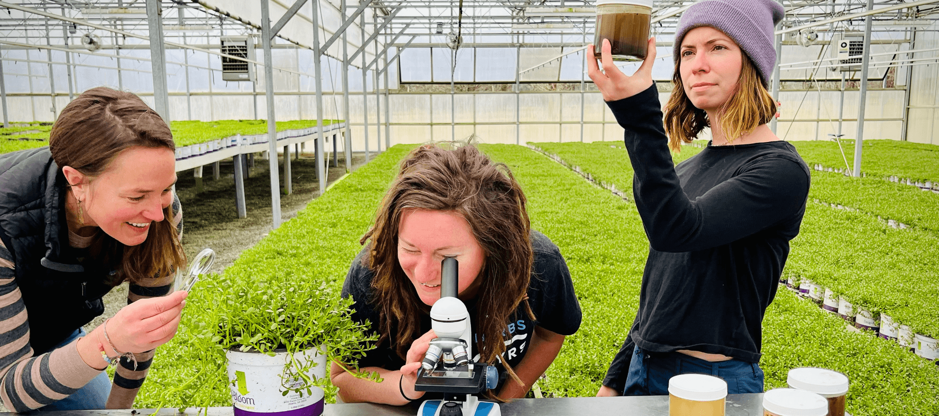 Three people in a greenhouse examining plants and using a microscope.