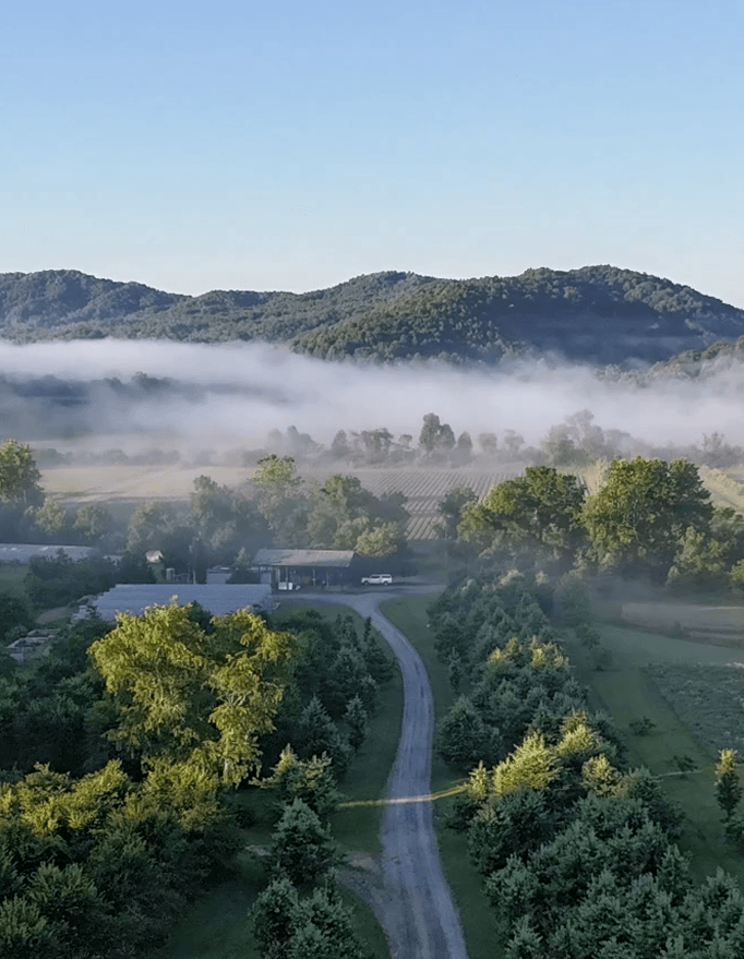 Lush green landscape with a winding road and misty mountains in the background