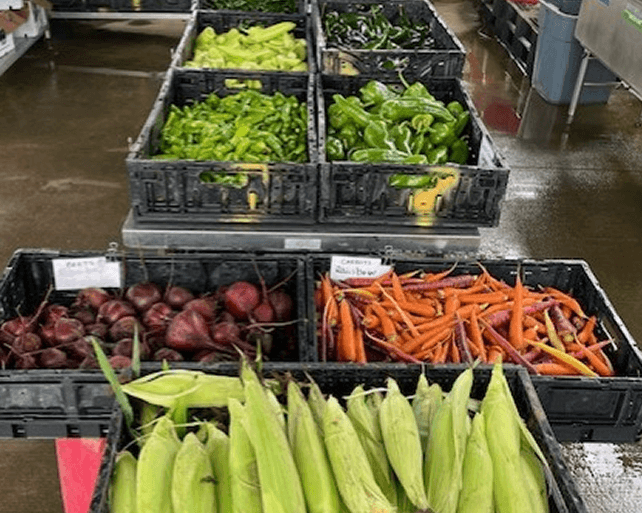 Plastic crates filled with various vegetables on a wet floor.