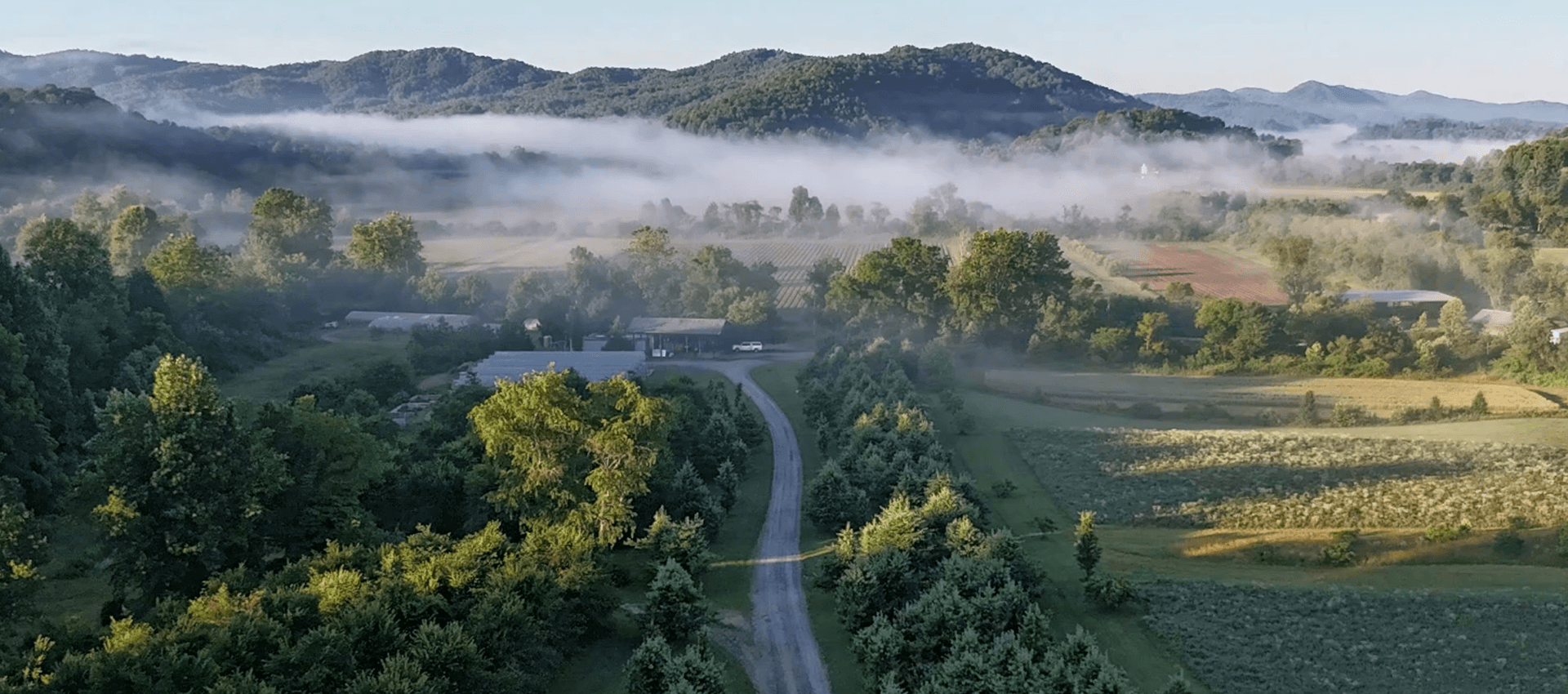 Scenic view of a rural landscape with trees, fields, and misty mountains.