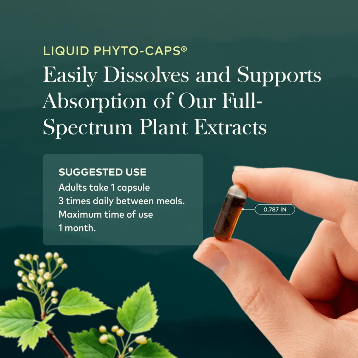 Kava Root 60 Count Suggested Use 