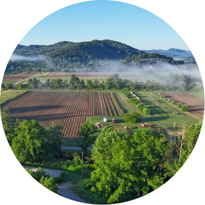 Aerial view of a rural landscape with fields, trees, and mountains shrouded in mist.