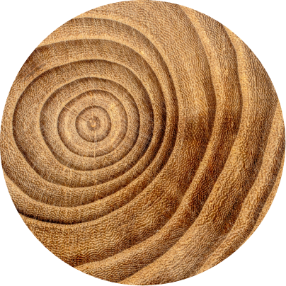 Wooden coaster with concentric circle pattern on a white background