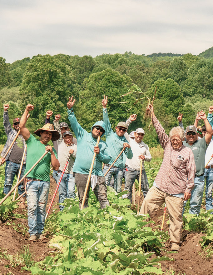 Group of people in a field with raised arms, possibly celebrating or cheering.