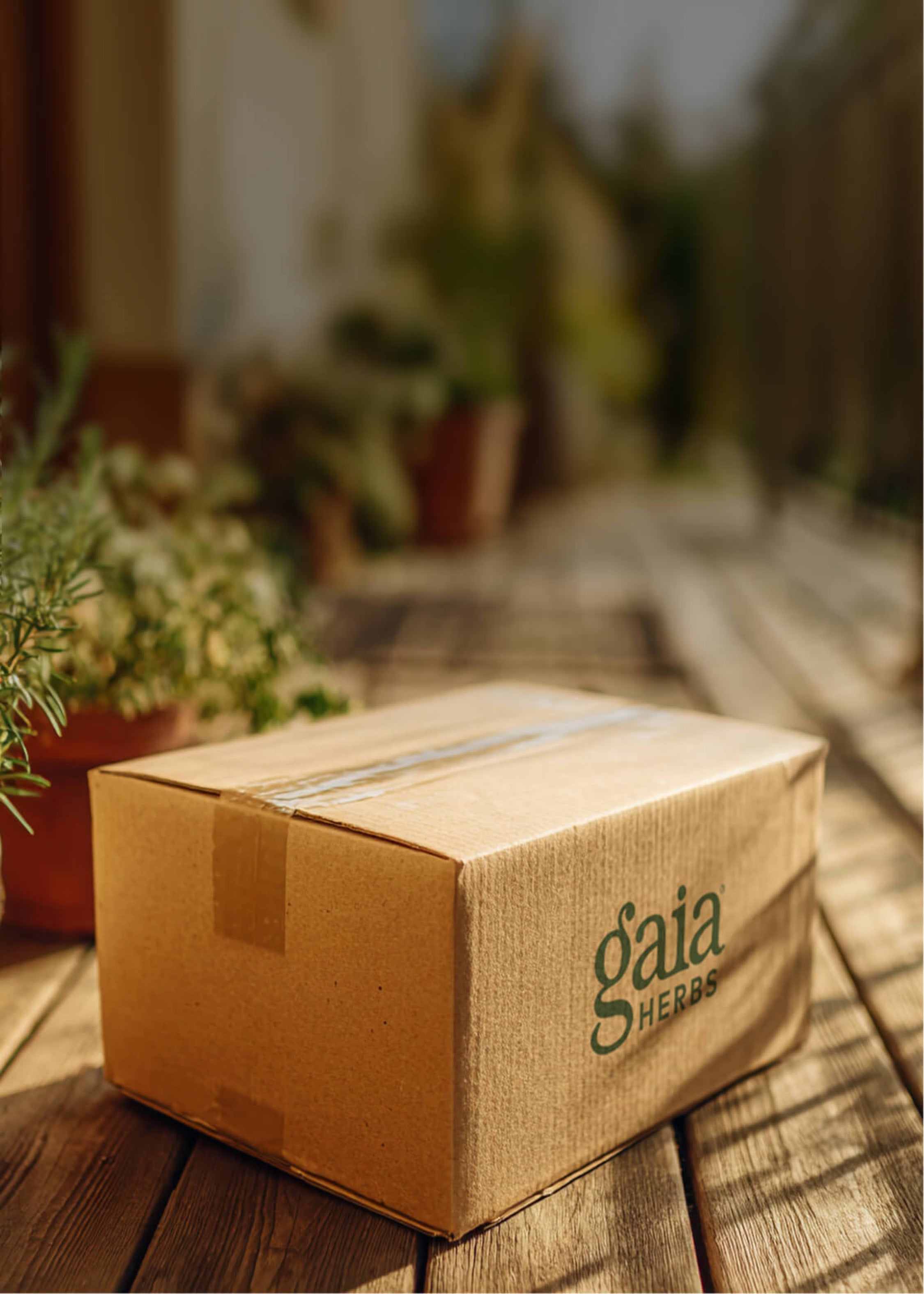 A brown cardboard box with the brand name Gaia Herbs logo printed on the side, sealed with clear tape and placed on a wooden deck with a blurred garden background.