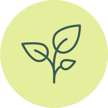 Icon of a plant with two leaves on a green circle