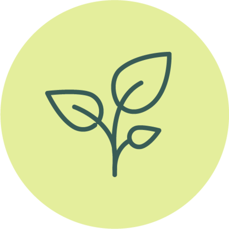 Icon of a plant with two leaves on a green circle