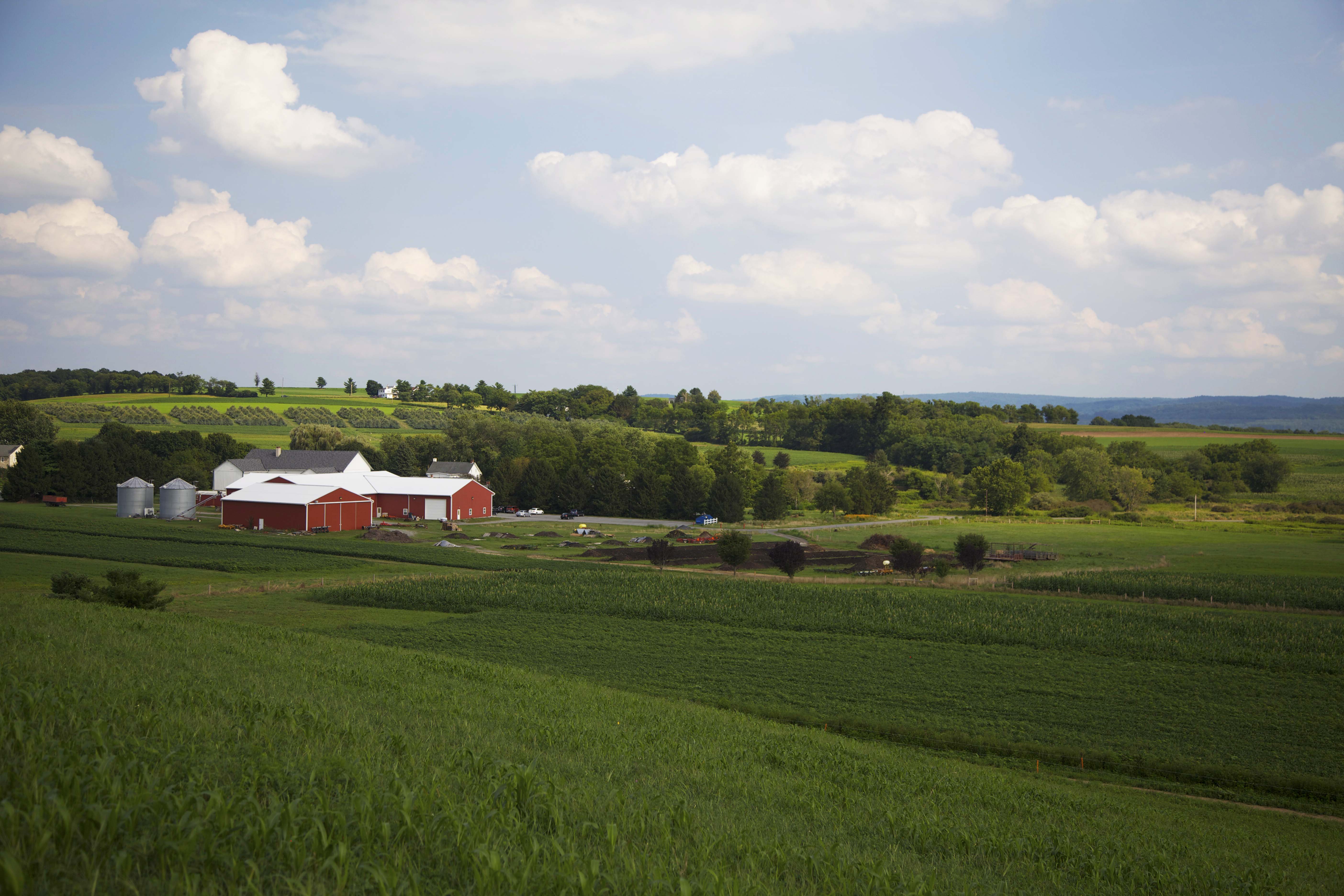 Farmland with a red barn and green fields under a blue sky with clouds.