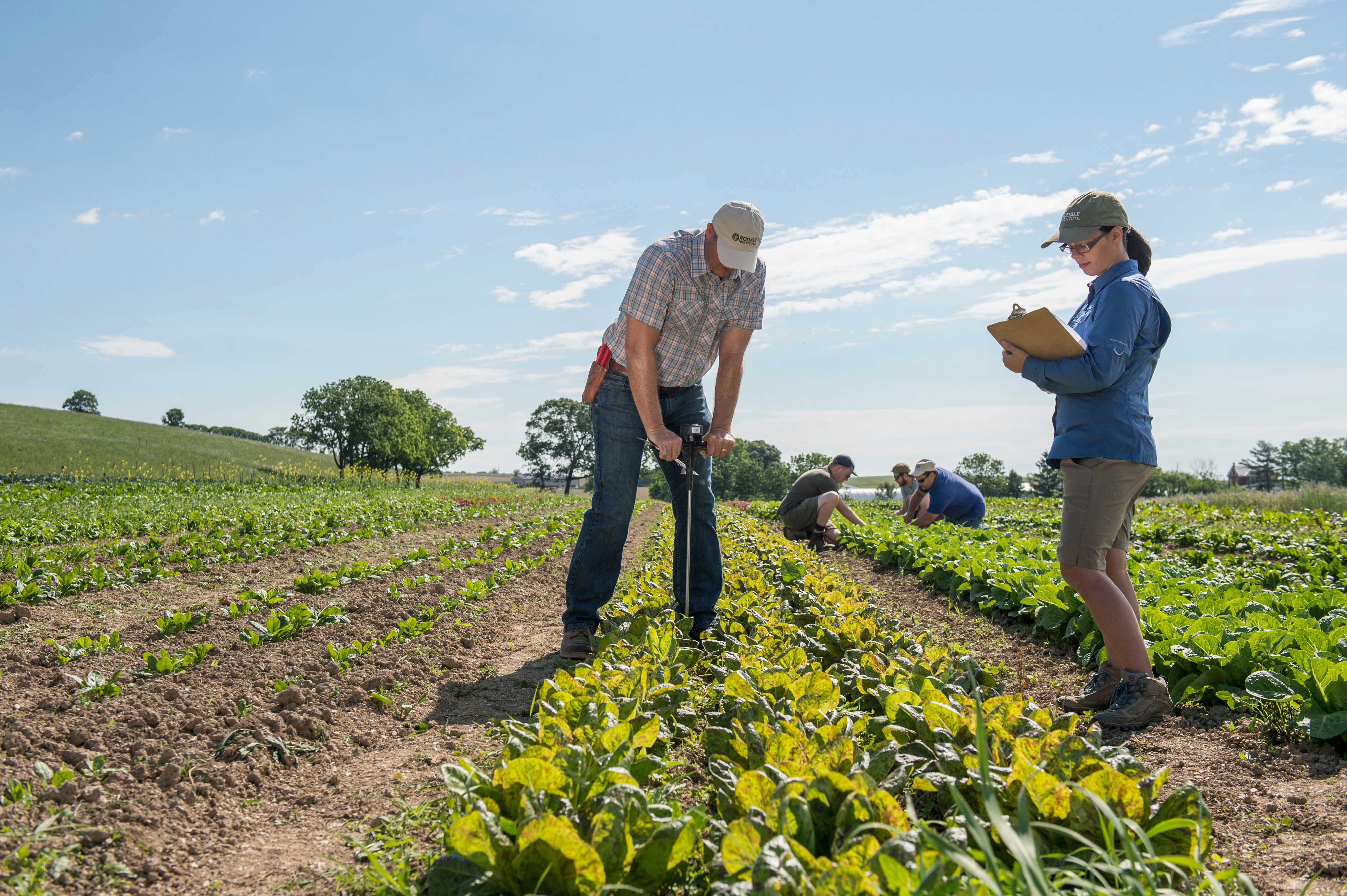 Two people working in a field with one using a tool and the other holding a clipboard.