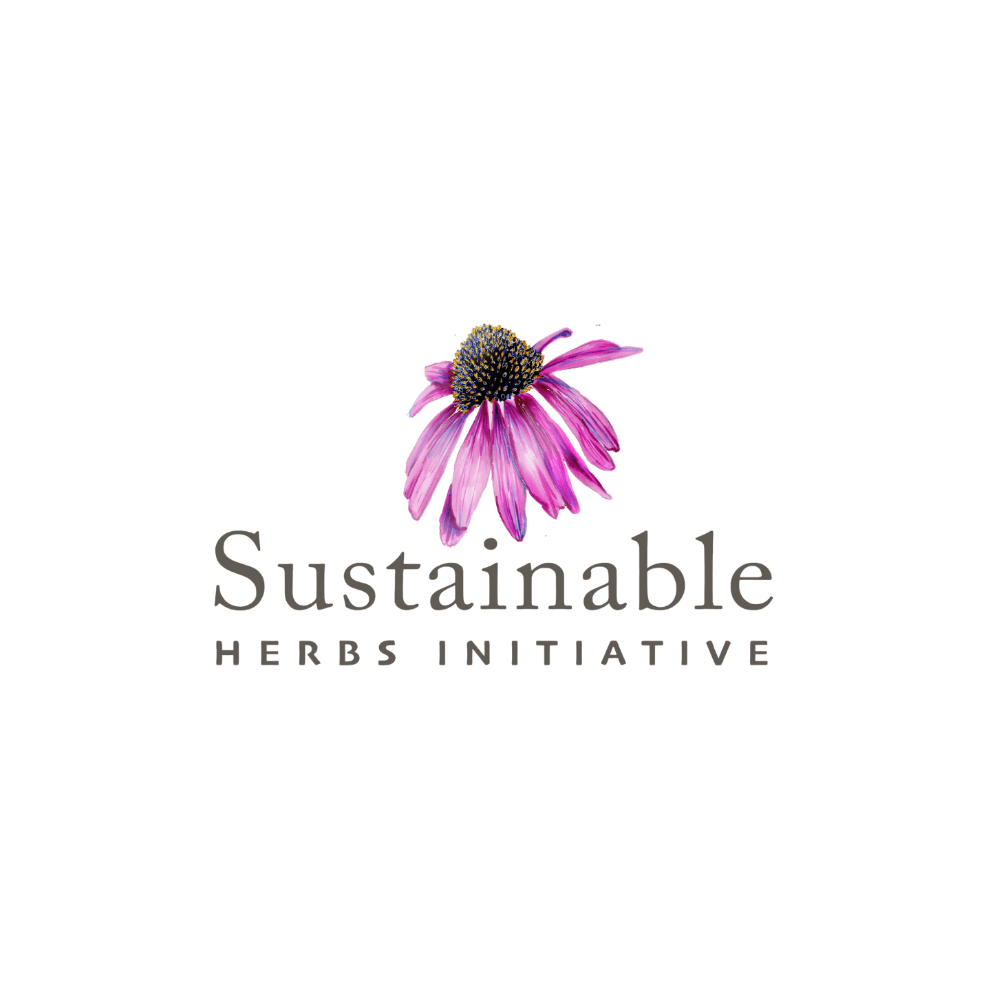 Pink flower with 'Sustainable Herbs Initiative' text on a black background