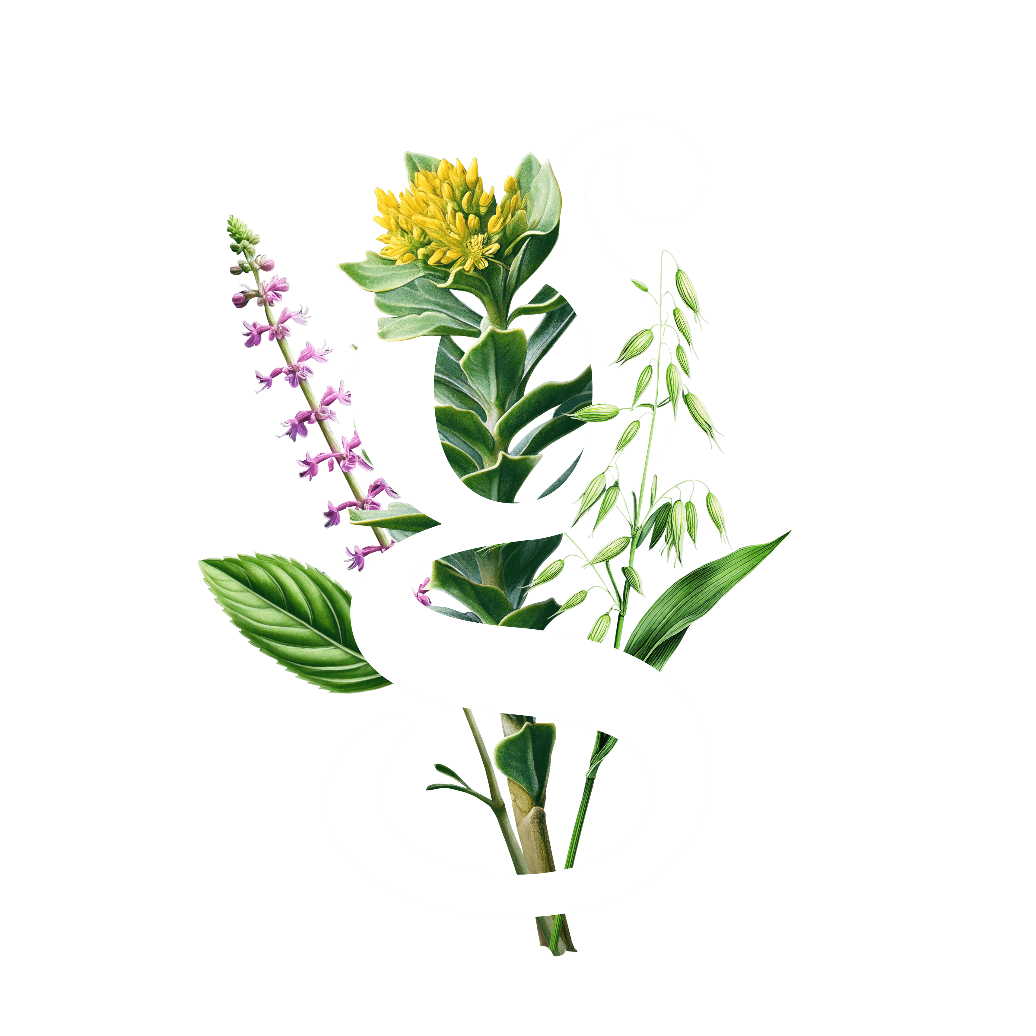 White Gaia Herbs 'G' intertwined with green leaves and flowers on a black background