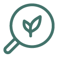 Icon of a magnifying glass with a leaf, symbolizing environmental inspection or sustainability.