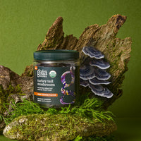 Gaia Herbs Turkey Tail Mushroom Gummies