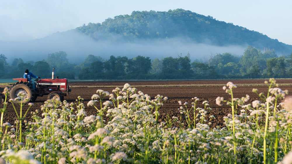 Tractor in a field with mountains in the background