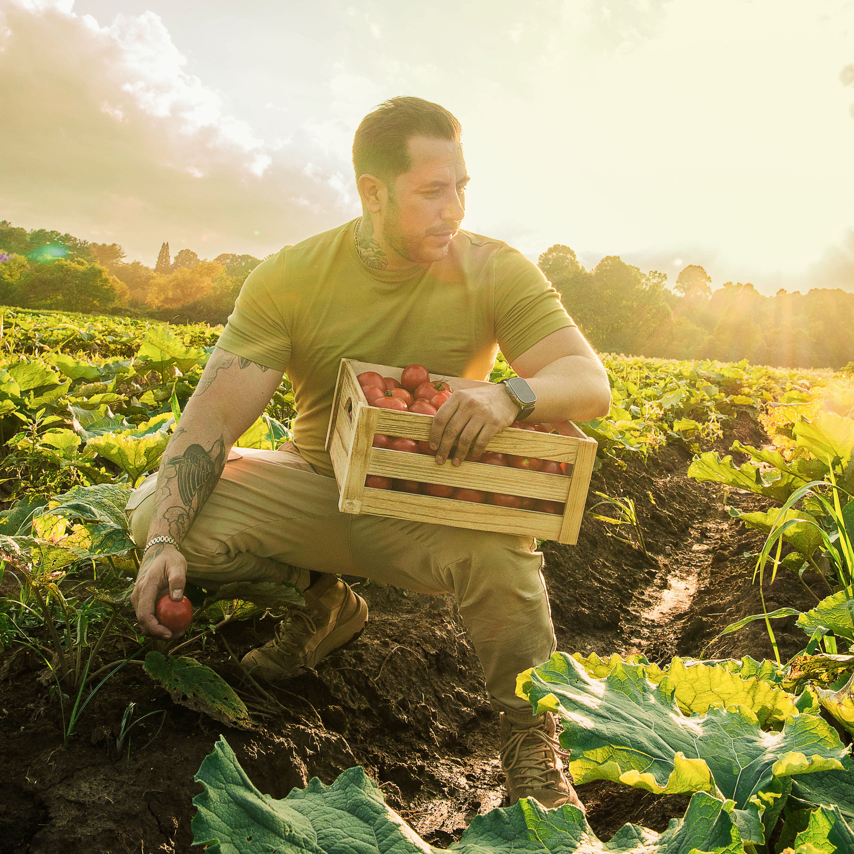 Person Working In A Vegetable Field For Active Lifestyle Category