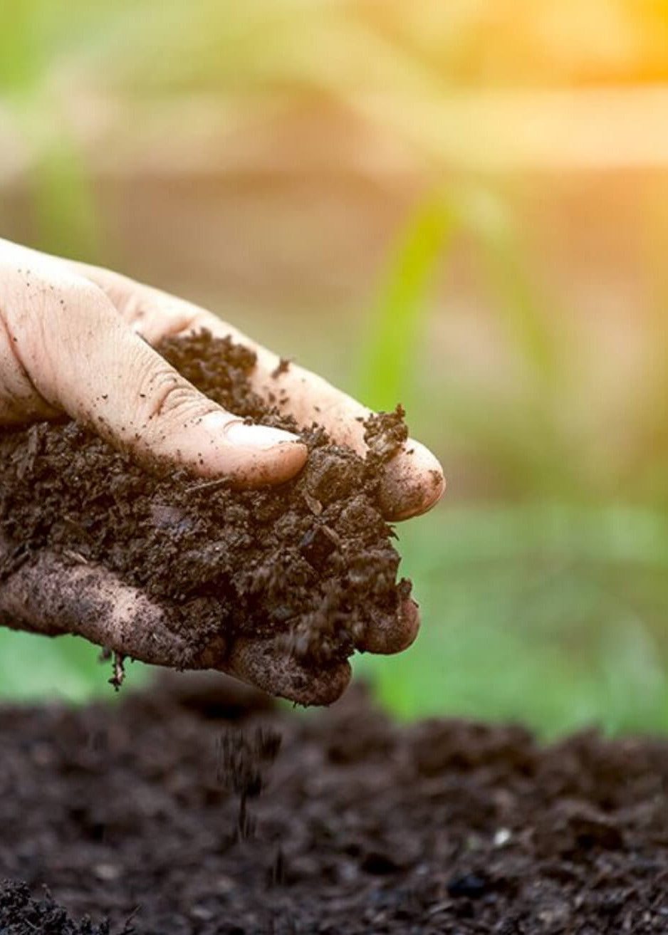 Hand holding soil with a blurred natural background