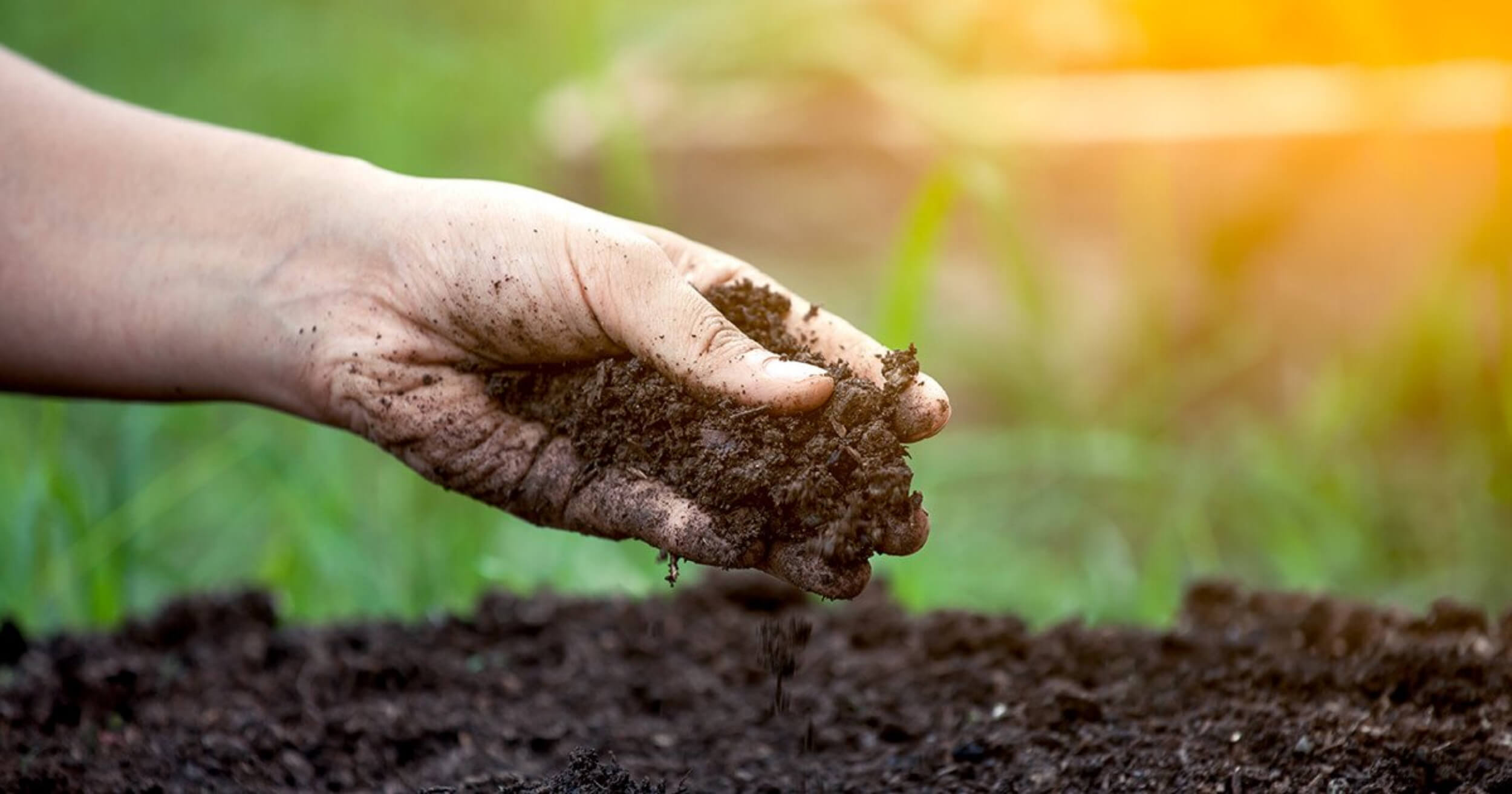 Hand holding soil with a blurred natural background