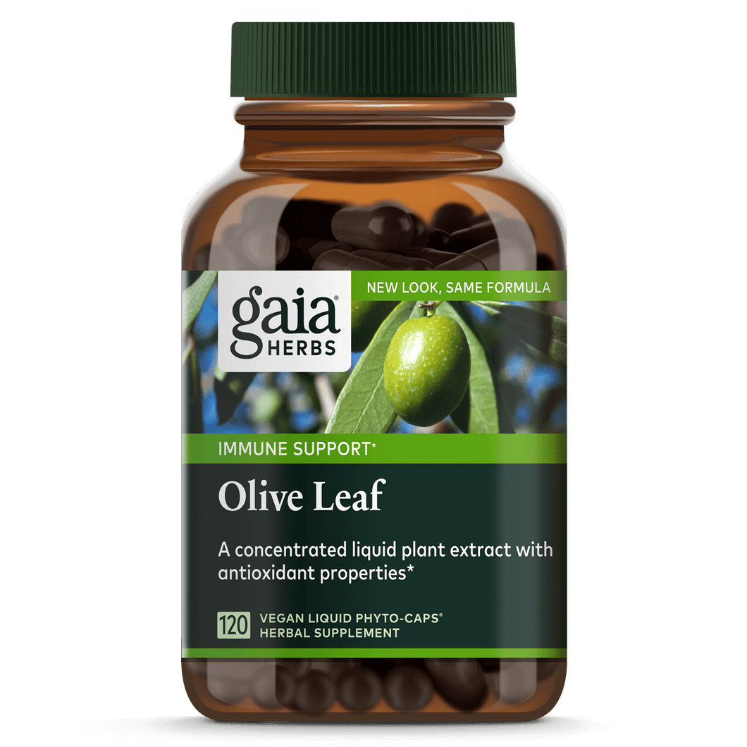 Olive Leaf Extract Pills Maintain Immune System Gaia Herbs Gaia Herbs®